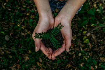 Wie unsere B Corp-Zertifizierung unsere Organisationsentwicklung unterst&uuml;tzt